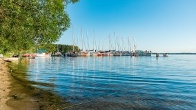 Port Dziki Harsz - zdjęcie 31