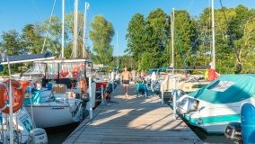 Port Dziki Harsz - zdjęcie 29