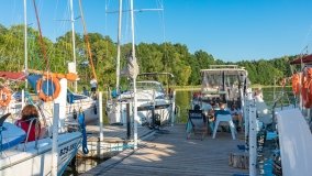 Port Dziki Harsz - zdjęcie 22