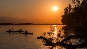 Port Dziki Harsz - zdjęcie 66