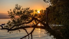 Port Dziki Harsz - zdjęcie 54