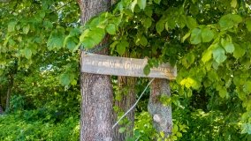 Port Dziki Harsz - zdjęcie 130