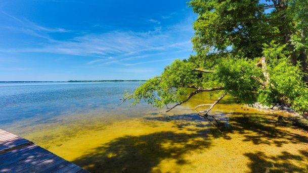 Port Nowy Harsz - zdjęcie 82