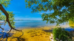 Port Dziki Harsz - zdjęcie 127