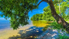 Port Dziki Harsz - zdjęcie 126