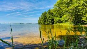 Port Dziki Harsz - zdjęcie 124