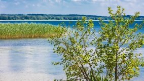 Przystań Zdorkowo - zdjęcie 53