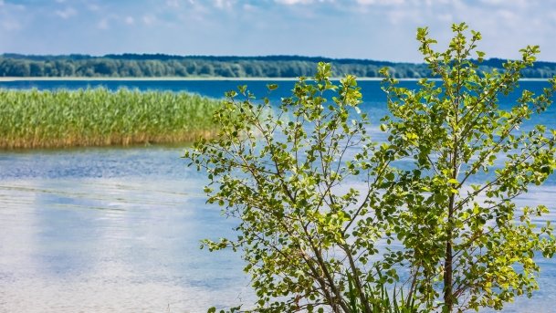 Przystań Żeglarska Stary Harsz - zdjęcie 53