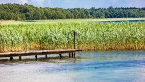 jezioro Dargin - zdjęcie 197