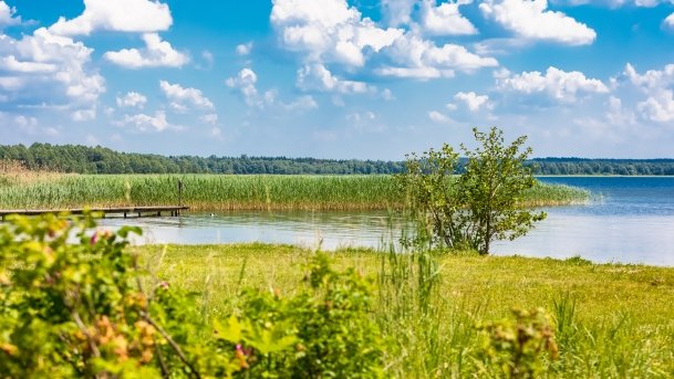 Przystań Żeglarska Stary Harsz - zdjęcie 50