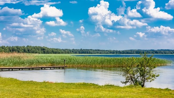 Przystań Żeglarska Stary Harsz - zdjęcie 49