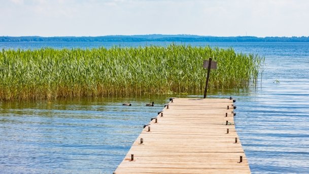 Przystań Żeglarska Stary Harsz - zdjęcie 48