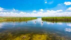 jezioro Dargin - zdjęcie 193