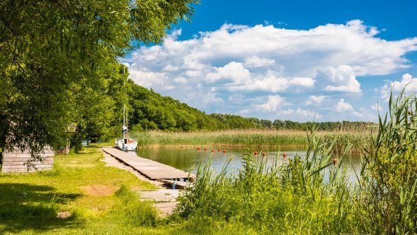 Przystań Żeglarska Stary Harsz - zdjęcie 36