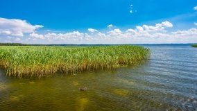 jezioro Dargin - zdjęcie 191