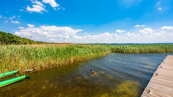Przystań Żeglarska Stary Harsz - zdjęcie 30
