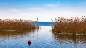 jezioro Dargin - zdjęcie 189