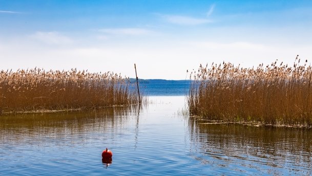 Przystań Żeglarska Stary Harsz - zdjęcie 21