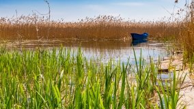 Przystań Zdorkowo - zdjęcie 11