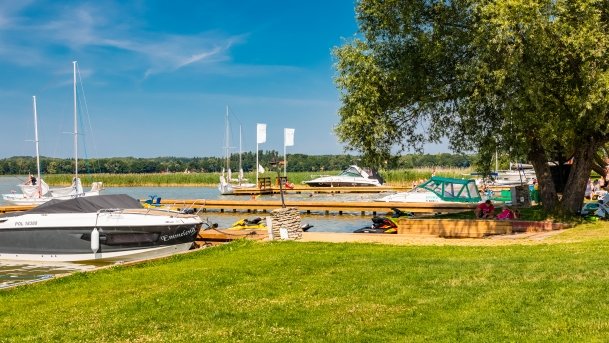 Port Ognisty Ptak - zdjęcie 90