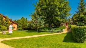 Port Ognisty Ptak - zdjęcie 66