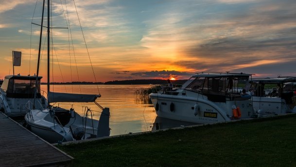 Ogonki - zdjęcie 36