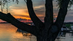 Port Ognisty Ptak - zdjęcie 25