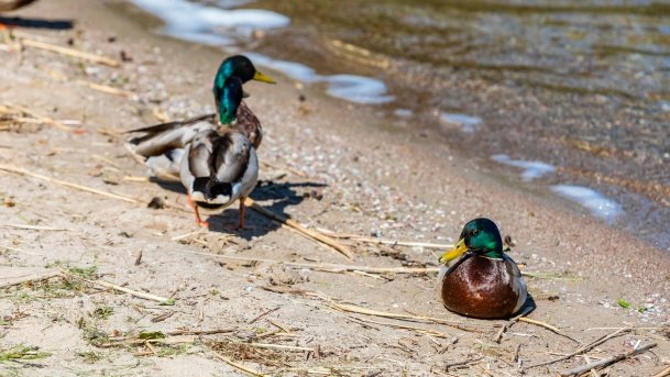 Przystań Mamerki - zdjęcie 19