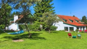 Trygort - zdjęcie 42