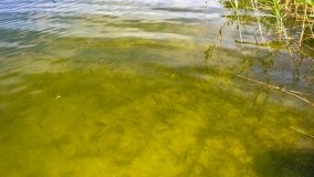 Port Trygort - NIECZYNNY - zdjęcie 11