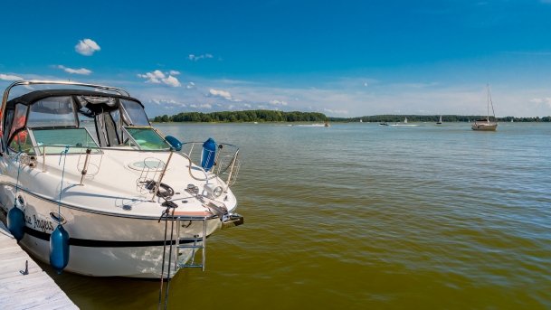 Wyspa Kocia - zdjęcie 12