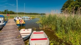 Keja u Ireny - zdjęcie 3