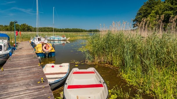 Stręgiel - zdjęcie 34