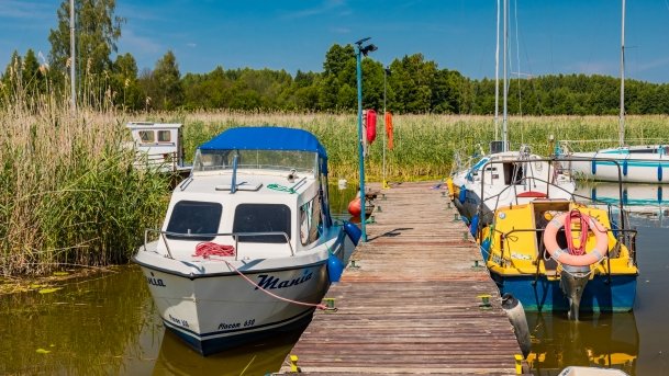 Ogonki - zdjęcie 105