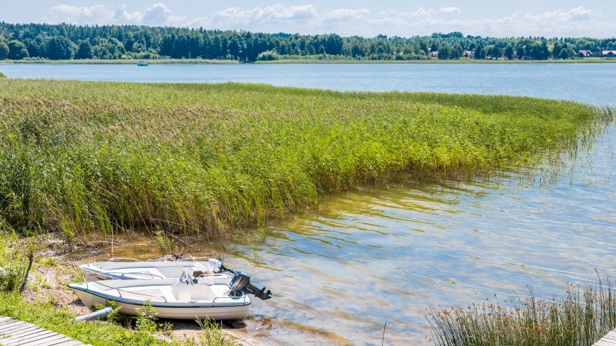 Smażalnia Ryb Sambor - zdjęcie 1