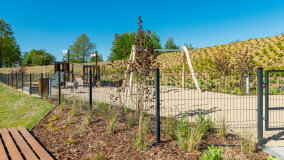 Przystań Nautica - zdjęcie 87