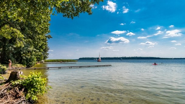 Keja Zwierzyniecki Róg - zdjęcie 17