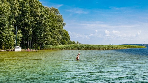 Keja Zwierzyniecki Róg - zdjęcie 12