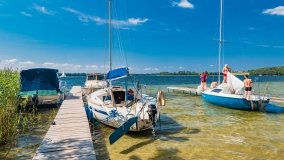 Pole namiotowe Zwierzyniecki Róg - zdjęcie 22