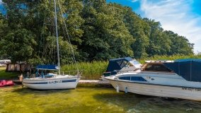 Pole namiotowe Zwierzyniecki Róg - zdjęcie 18