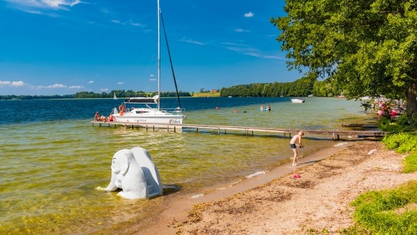 Keja Zwierzyniecki Róg Pole Namiotowe - zdjęcie 13