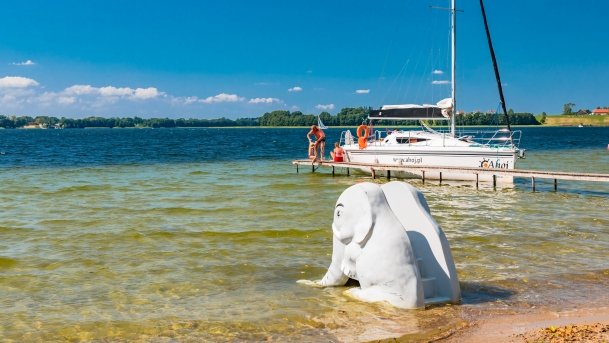 Keja Zwierzyniecki Róg Pole Namiotowe - zdjęcie 12
