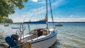 Pole namiotowe Zwierzyniecki Róg - zdjęcie 7