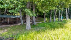 Przystań Leśny Zakątek - zdjęcie 31