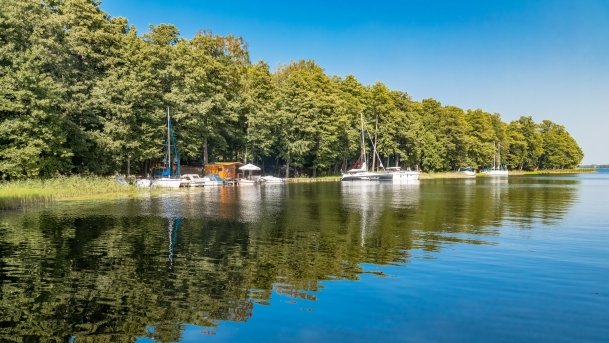Przystań Leśny Zakątek - zdjęcie 19