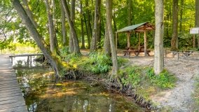 Przystań Leśny Zakątek - zdjęcie 15