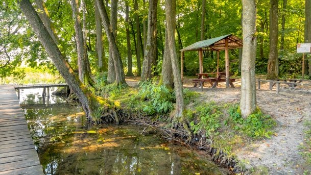 Przystań Leśny Zakątek - zdjęcie 15