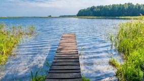 Przystań Leśny Zakątek - zdjęcie 10