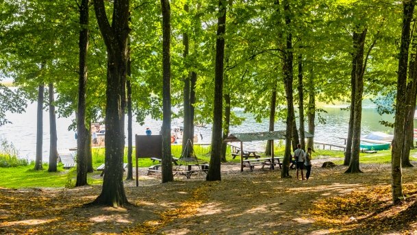 Przystań Leśny Zakątek - zdjęcie 7