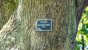 Kietlice - zdjęcie 15